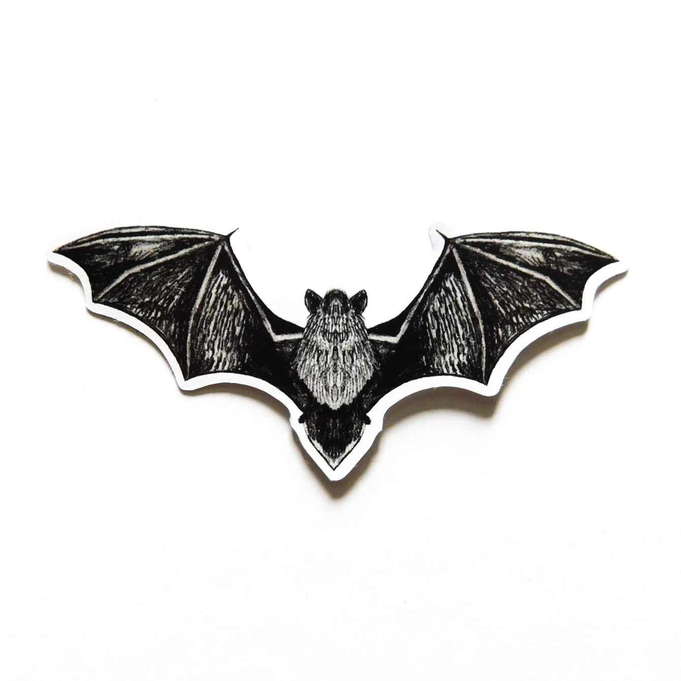 Chiroptera Pipistrelle Bat Sticker by Also the Bison