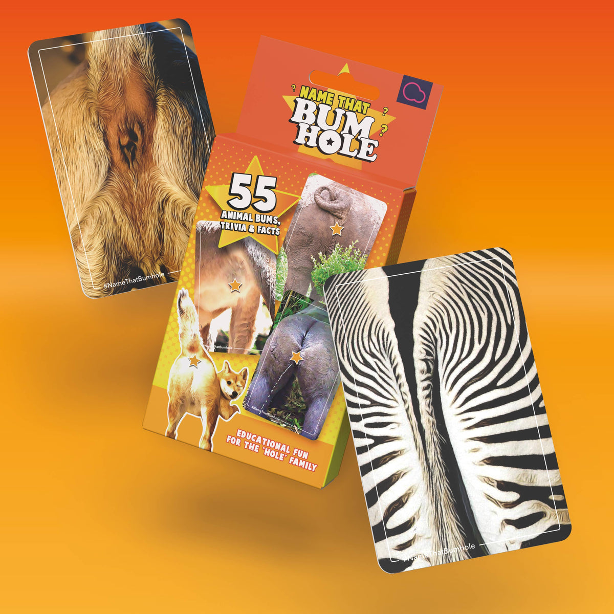 Name That Bumhole | Fun Family Flashcard Trivia Game