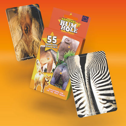 Name That Bumhole | Fun Family Flashcard Trivia Game