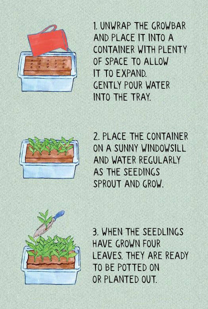The Bee Seeds By Growbar