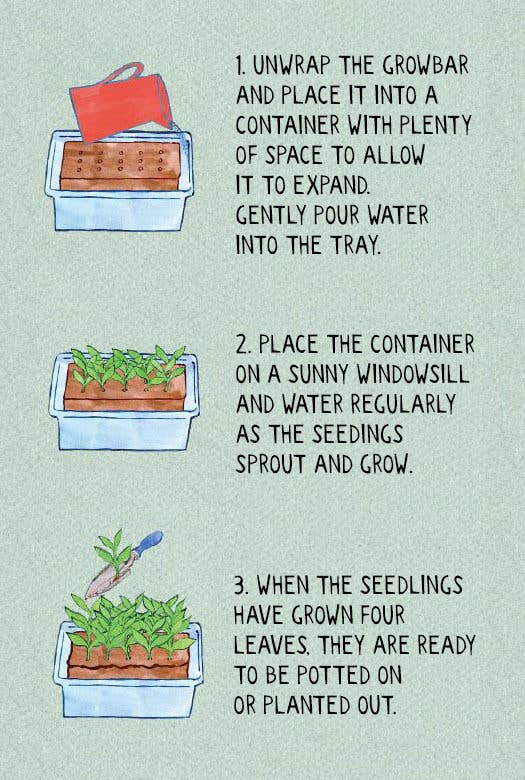 The William Morris Flowers Seeds By Growbar