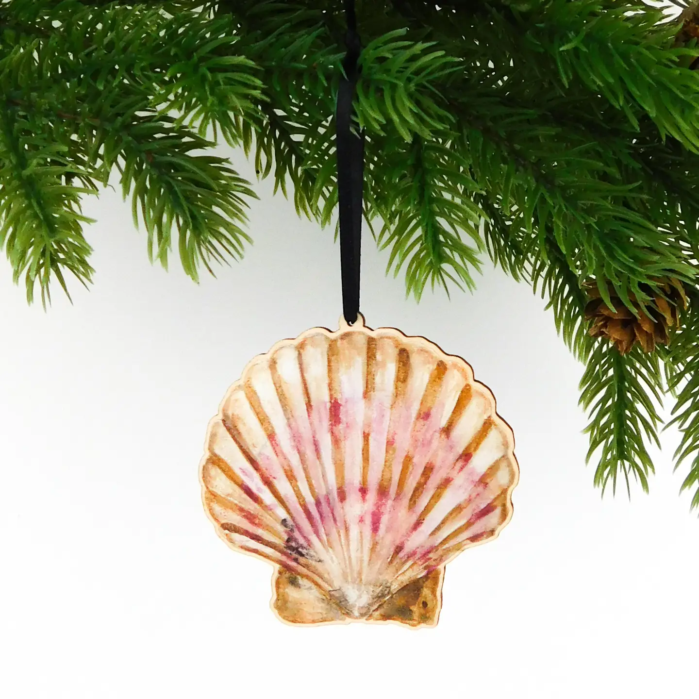 Scallop Shell Hanging Decoration by Also the Bison