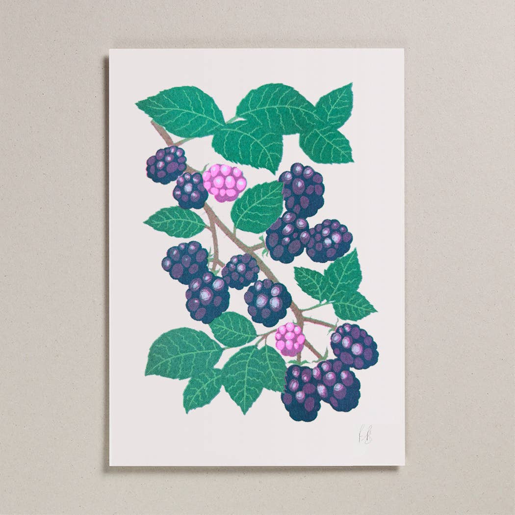 Blackberry | A4 Risograph Art Print By Petra Boase