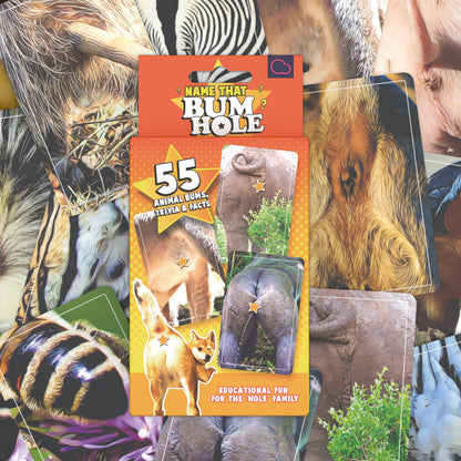 Name That Bumhole | Fun Family Flashcard Trivia Game