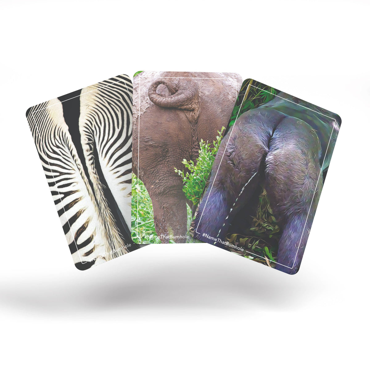 Name That Bumhole | Fun Family Flashcard Trivia Game