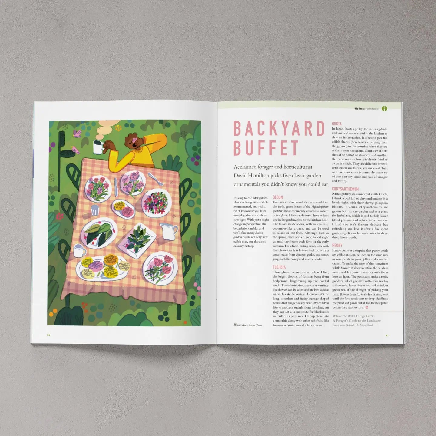 Issue 9 – Summer 2021 Gardening Magazine by Bloom