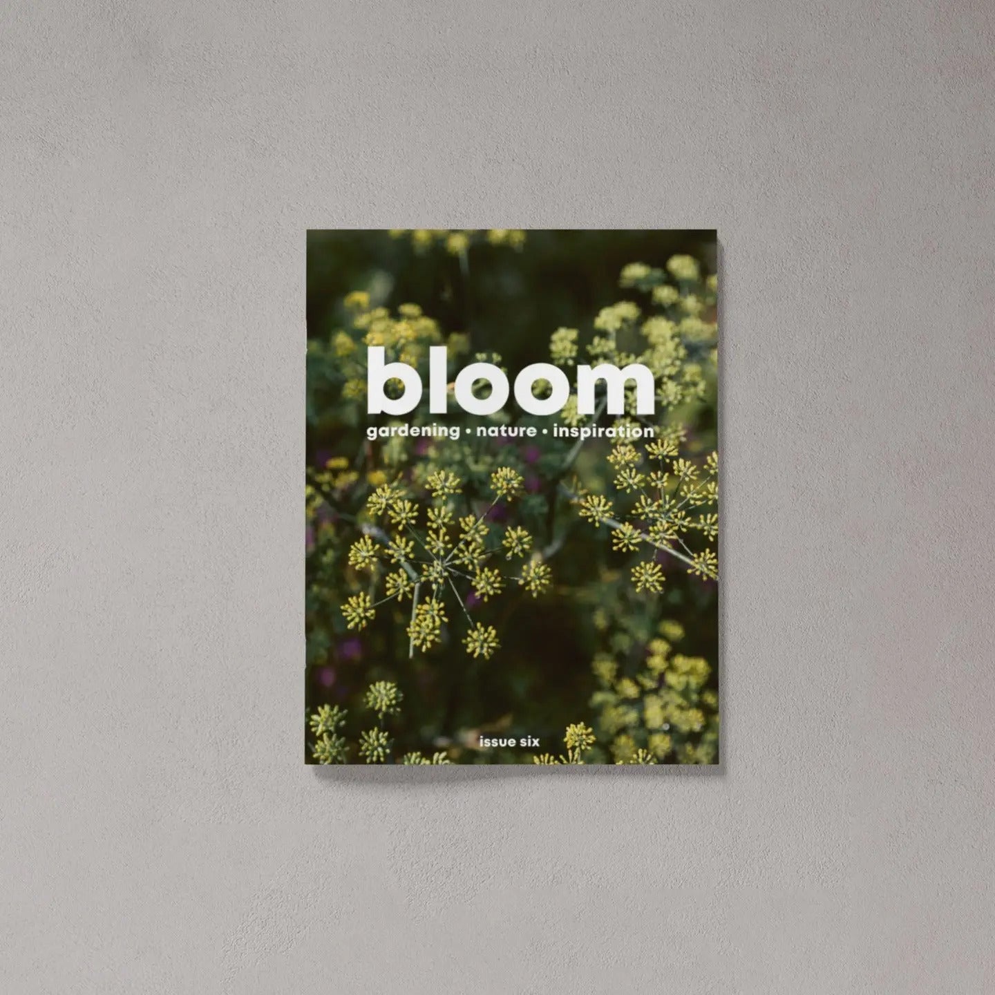 Issue 6 – Summer 2020 Gardening Magazine by Bloom