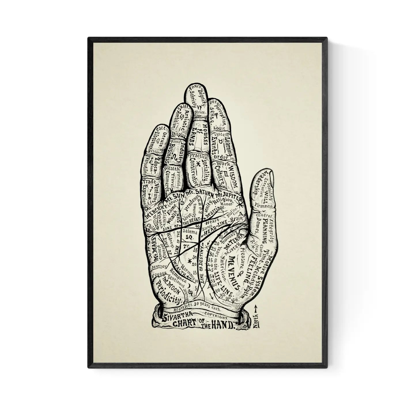 Palmistry A4 Print Reflexology Hand Chart by INK & SONS