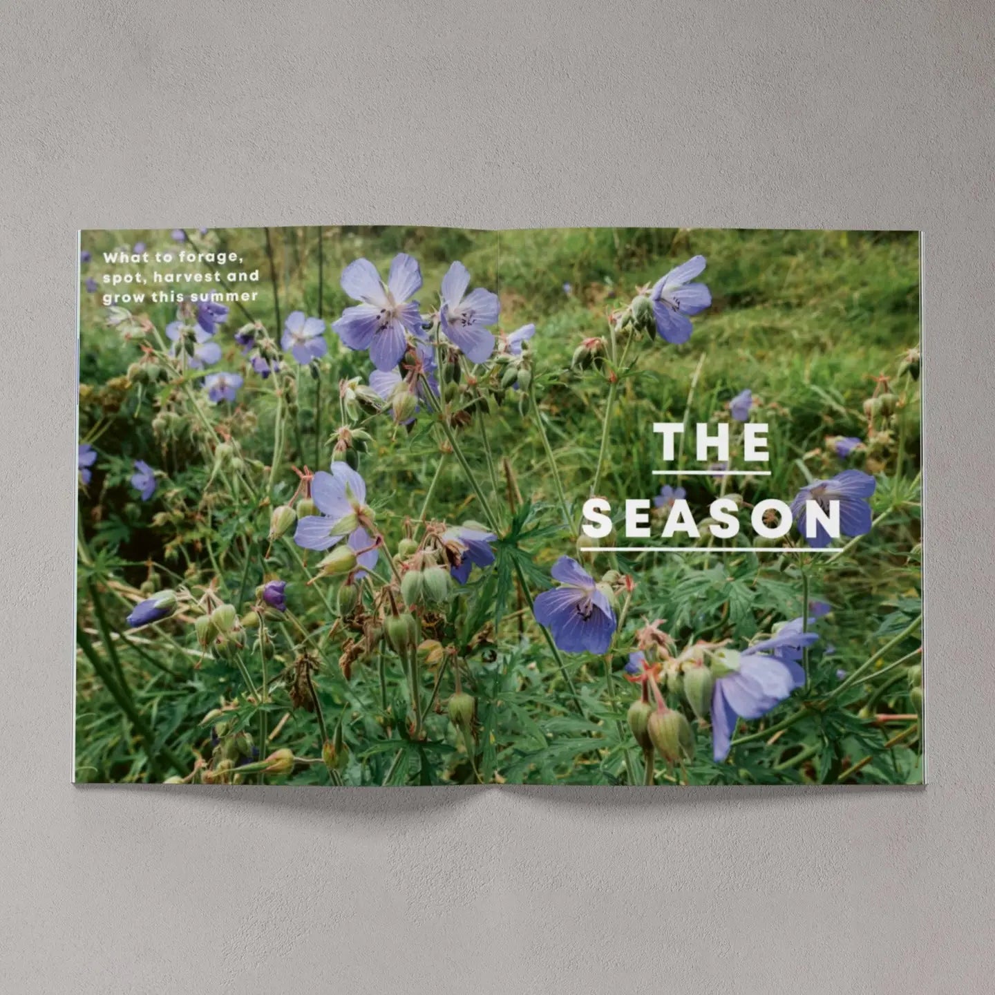 Issue 6 – Summer 2020 Gardening Magazine by Bloom