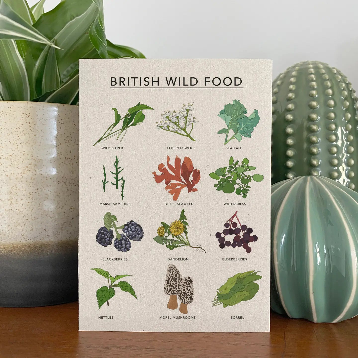 British Wild Food Illustrated Card by Kate Broughton