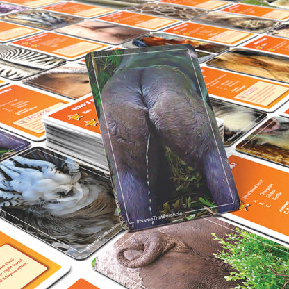 Name That Bumhole | Fun Family Flashcard Trivia Game
