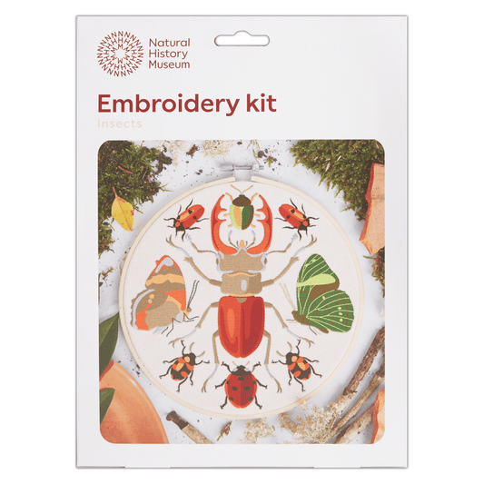 Embroidery Hoop Kit, Insects 8" By West Design Products