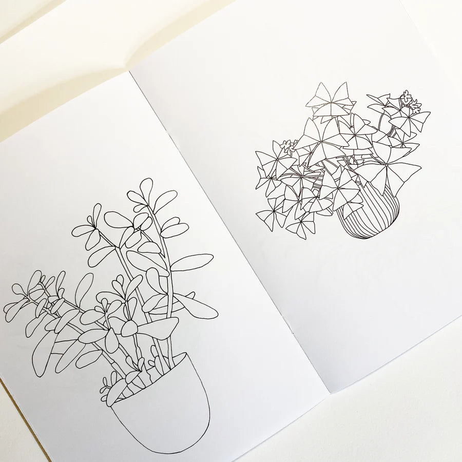 Houseplant Colouring Book by Kate Broughton