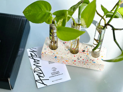 Handmade Plant Propagation Station - Glass Plant Propagator &  Holder by AndMash