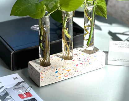 Handmade Plant Propagation Station - Glass Plant Propagator &  Holder by AndMash