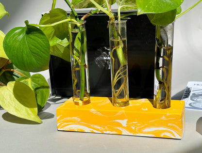 Handmade Plant Propagation Station - Glass Plant Propagator &  Holder by AndMash