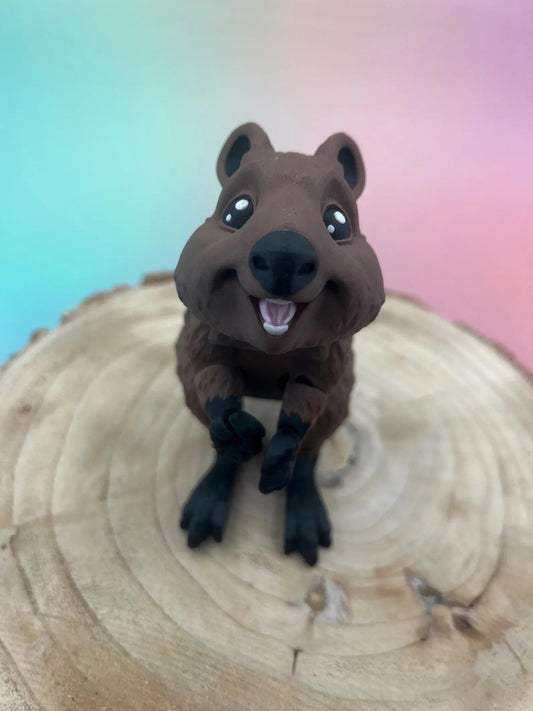 3D Cre8 -  Quokka animal fidget sensory autism friendly flexi