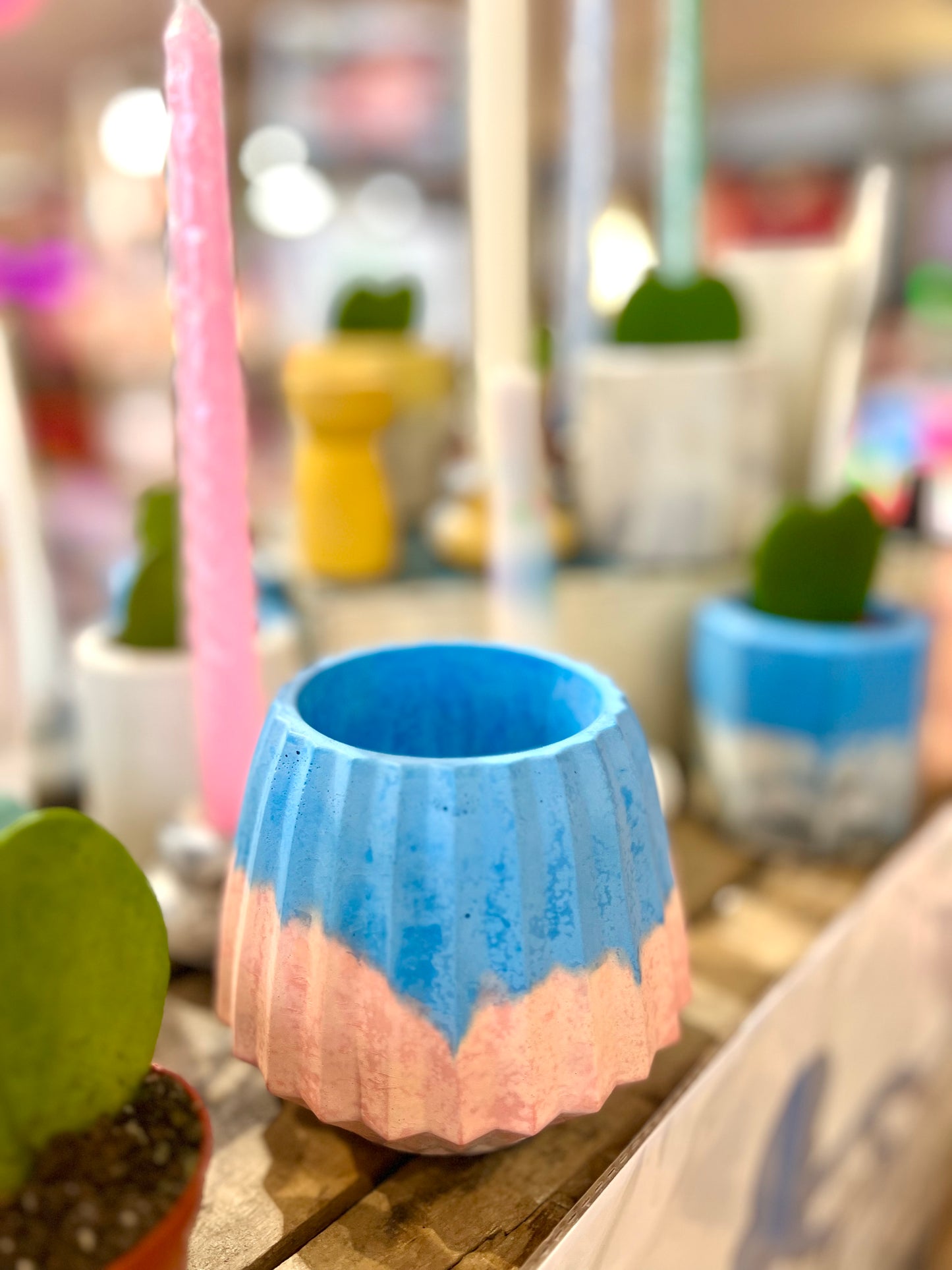 Blue / pink plant pot by Onyx Studio