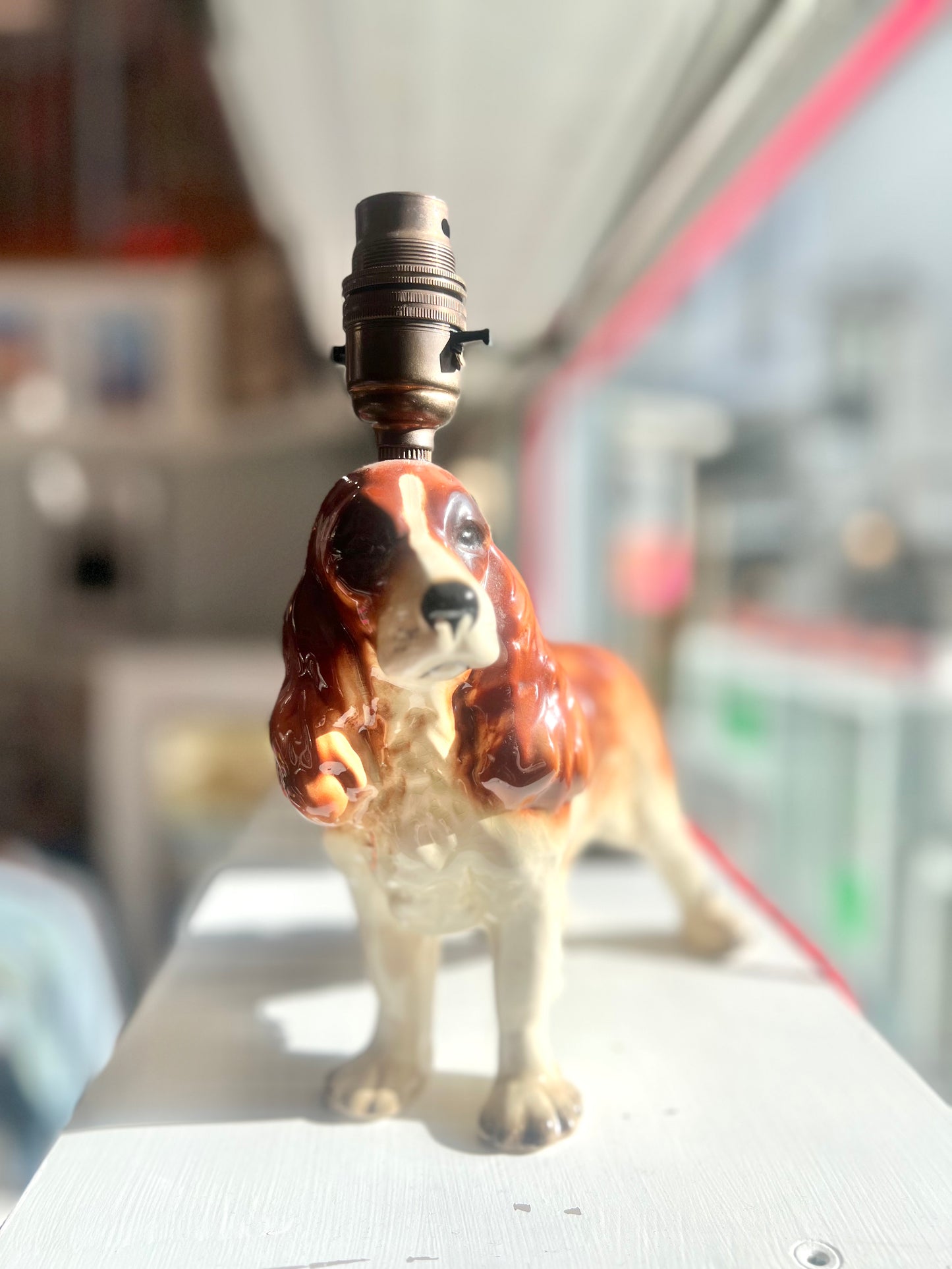 Vintage Springer Spaniel Lamp by Lost & Foundry