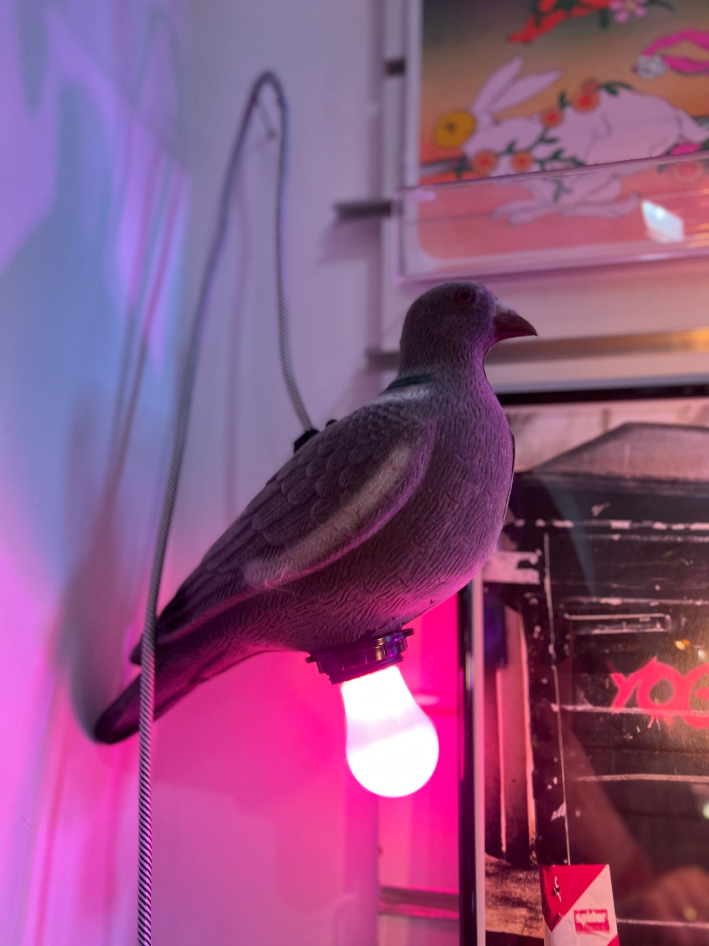 Pigeon Lamp by Lost & Foundry