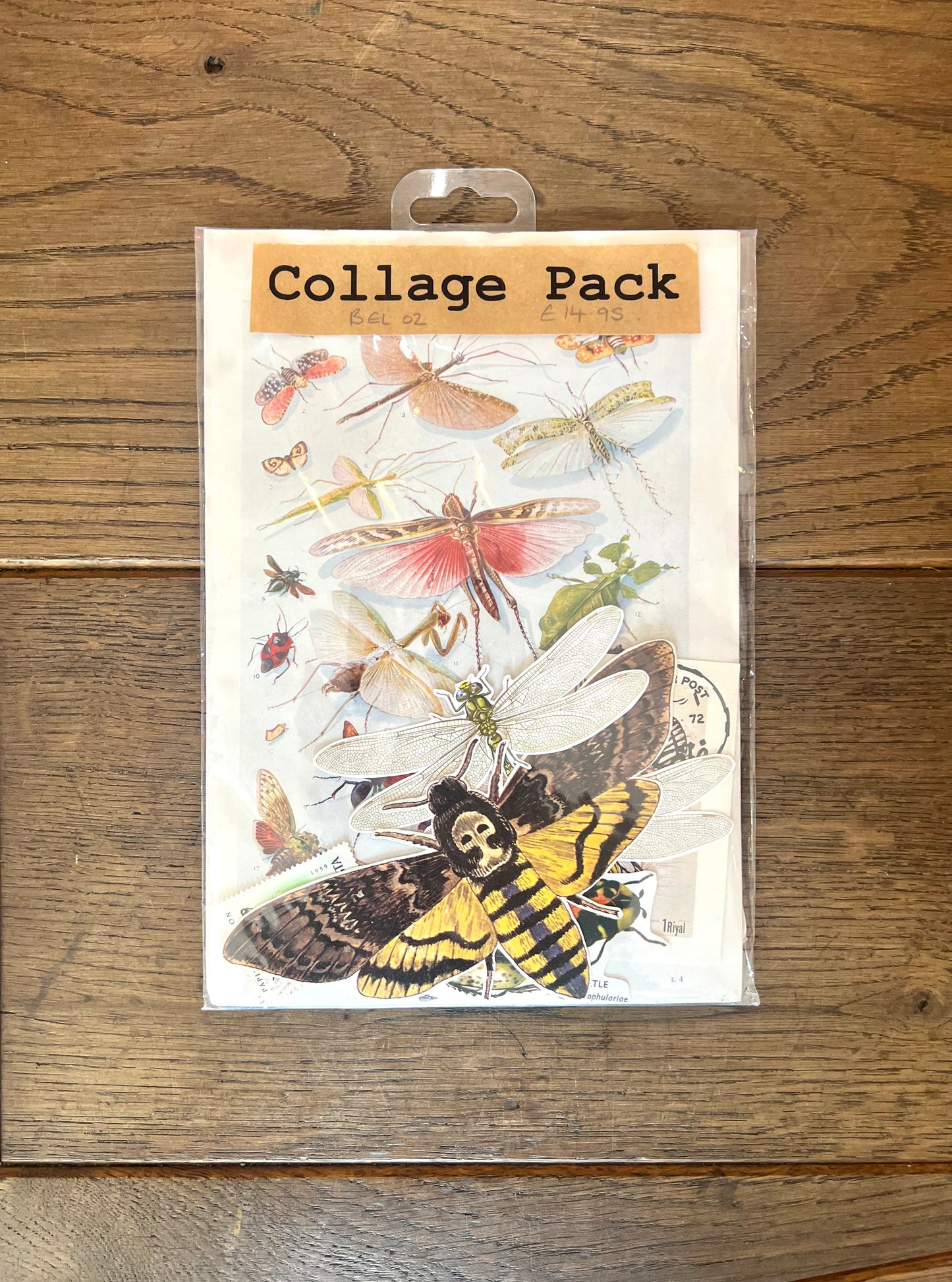 Butterflies, Moths, Insects Vintage Collage Pack By Bella Does Brighton