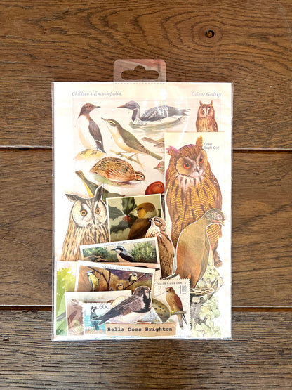 Birds Collage Pack By Bella Does Brighton