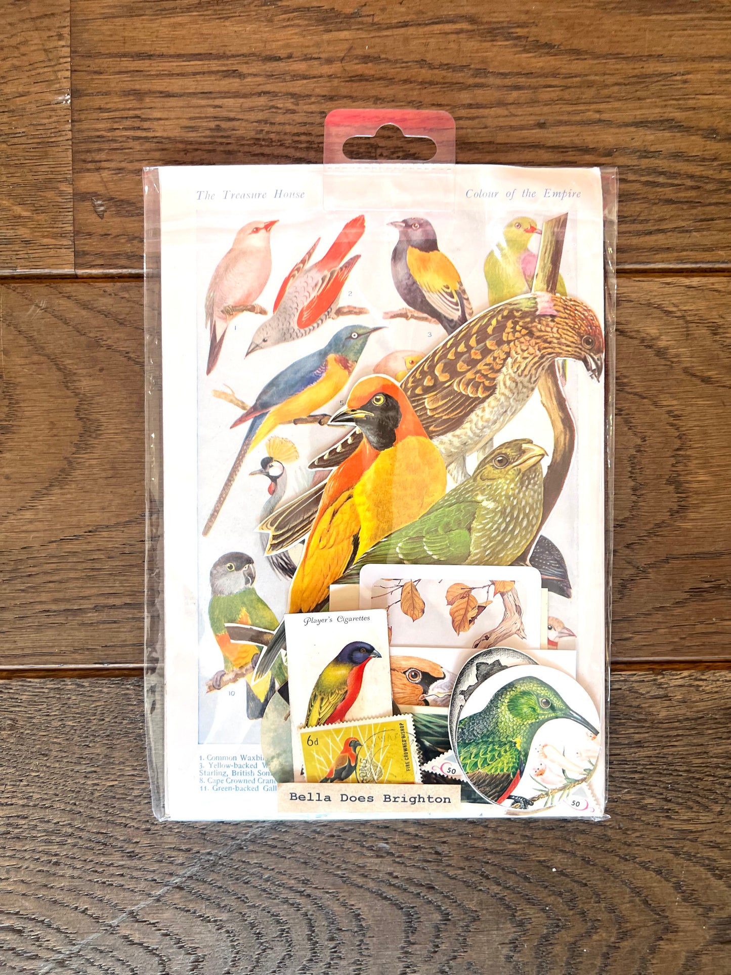 Tropical Australian Birds Collage Pack By Bella Does Brighton