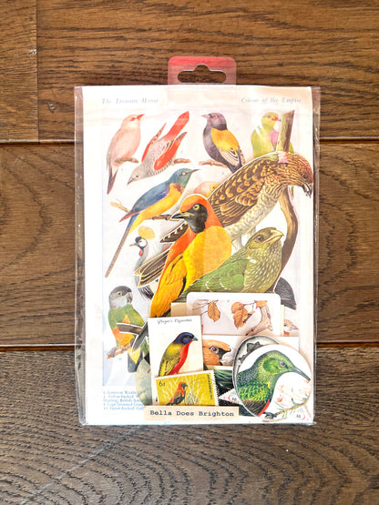 Tropical Australian Birds Collage Pack By Bella Does Brighton