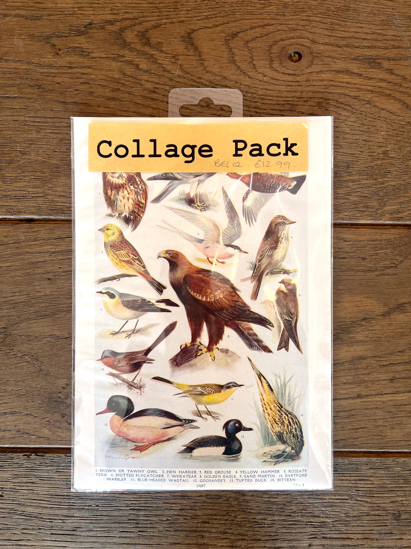 Birds Collage Pack By Bella Does Brighton