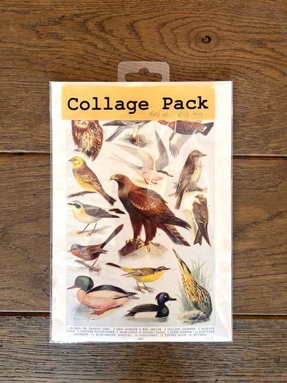 Birds Collage Pack By Bella Does Brighton