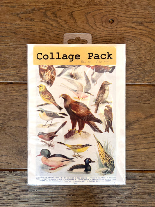 Birds Collage Pack By Bella Does Brighton