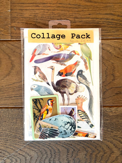 Tropical Australian Birds Collage Pack By Bella Does Brighton