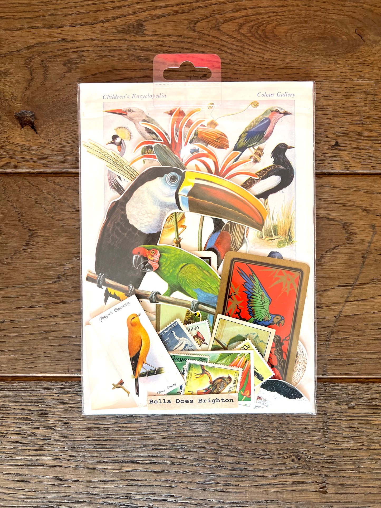 Tropical Birds Vintage Collage Pack By Bella Does Brighton