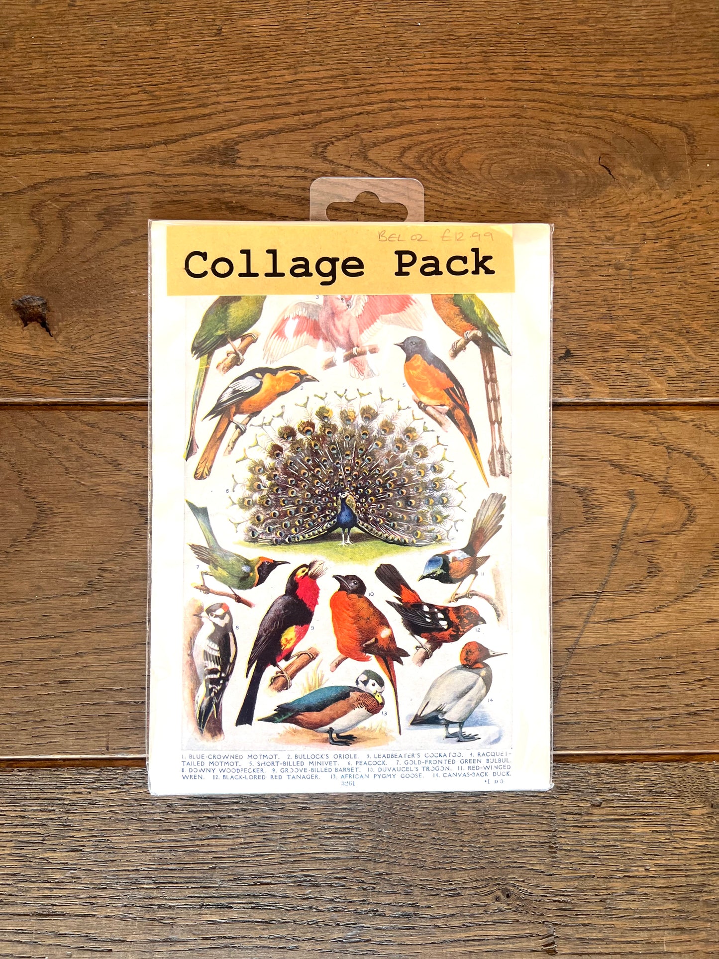 Tropical Birds Vintage Collage Pack By Bella Does Brighton