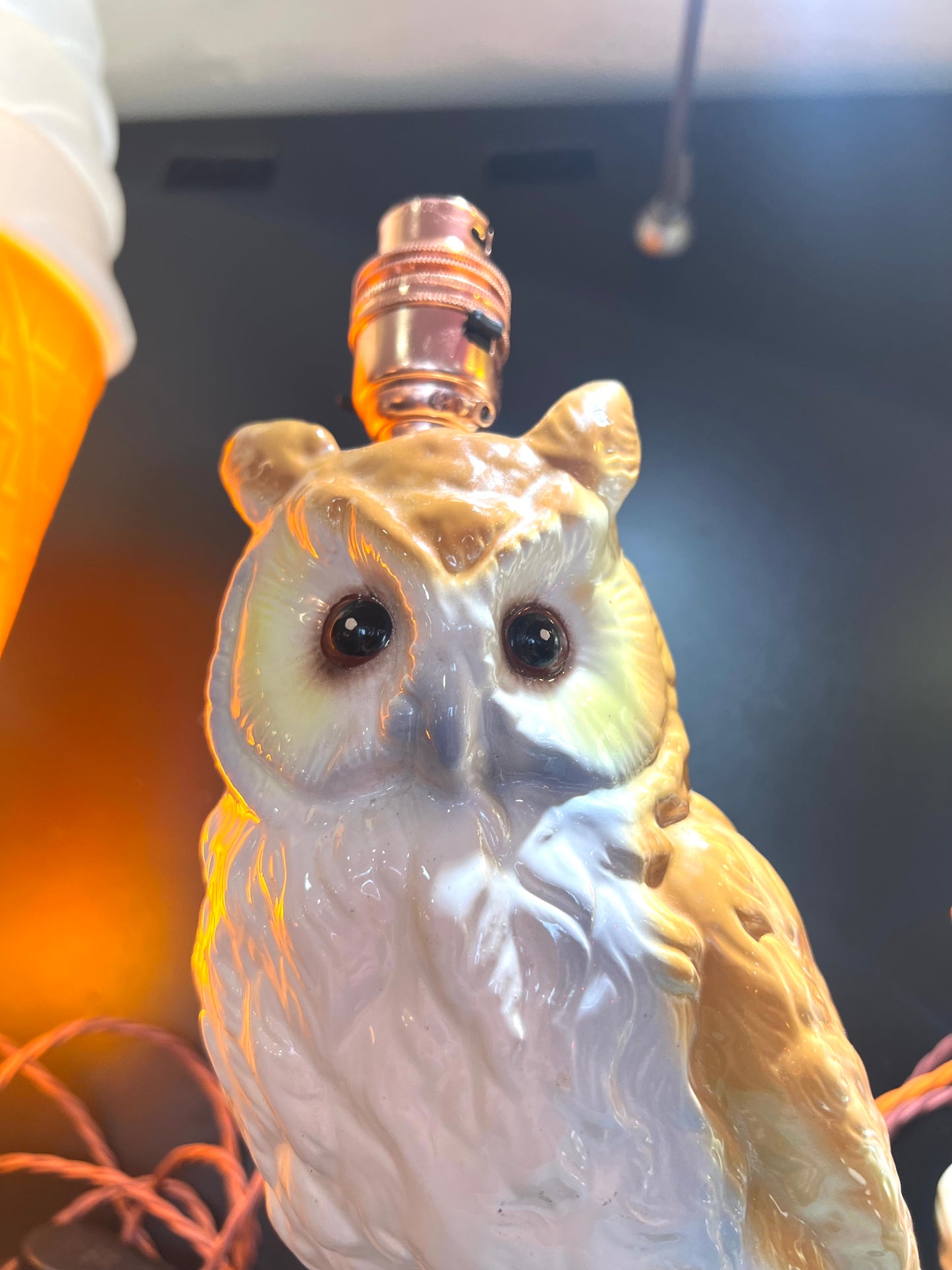 Vintage Owl Lamp by Lost & Foundry