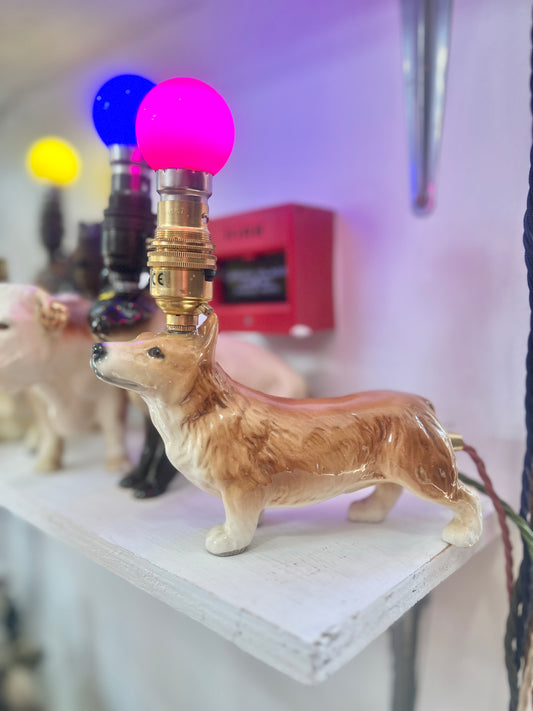 Vintage Corgi Dog Lamp by Lost & Foundry