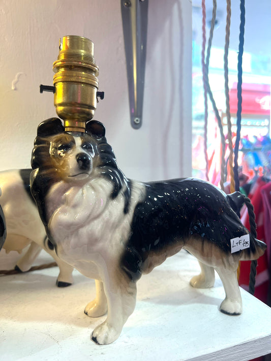 Vintage Border Collie Sheepdog Dog Lamp by Lost & Foundry
