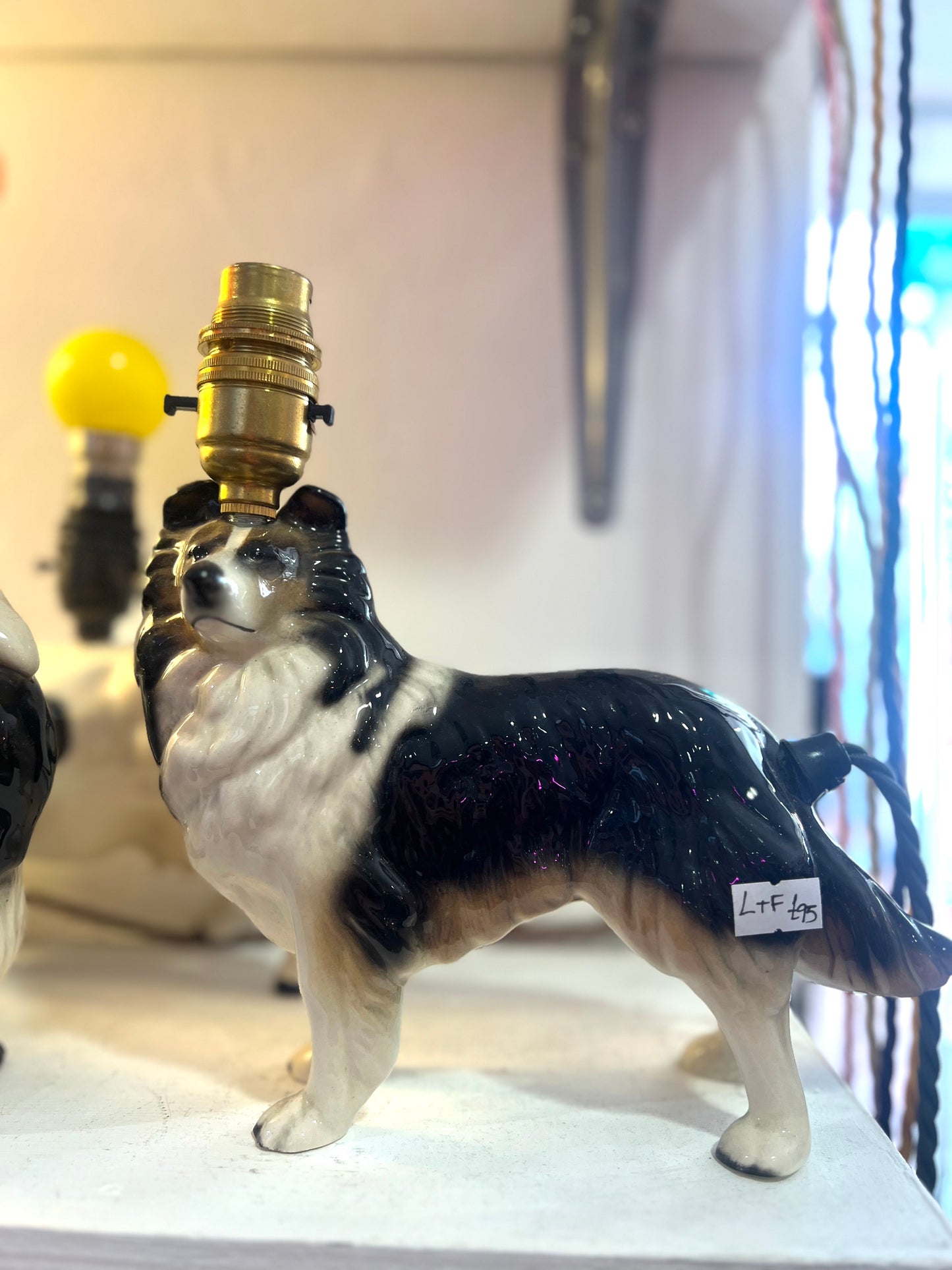 Vintage Border Collie Sheepdog Dog Lamp by Lost & Foundry