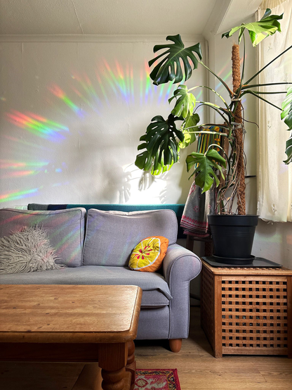 BUTTERFLY Sun Catcher Window Decal by Gleeful Hive