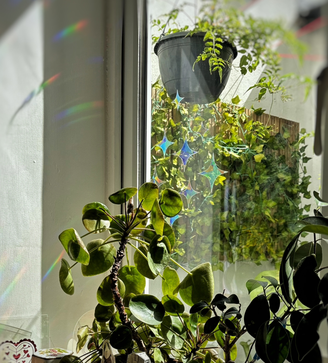 STARS Suncatchers (Night sky) by Gleeful Hive