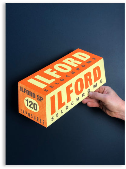 ILFORD Hand-Printed Wooden Art Sign by Patrick Edgeley